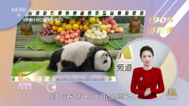 色网在线免费观看